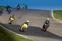 anglesey-no-limits-trackday;anglesey-photographs;anglesey-trackday-photographs;enduro-digital-images;event-digital-images;eventdigitalimages;no-limits-trackdays;peter-wileman-photography;racing-digital-images;trac-mon;trackday-digital-images;trackday-photos;ty-croes